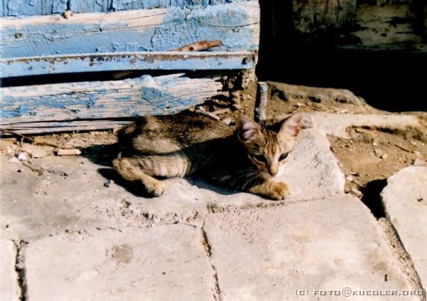 image-017 <p><b>Sidi Bou Saïd</b></p>