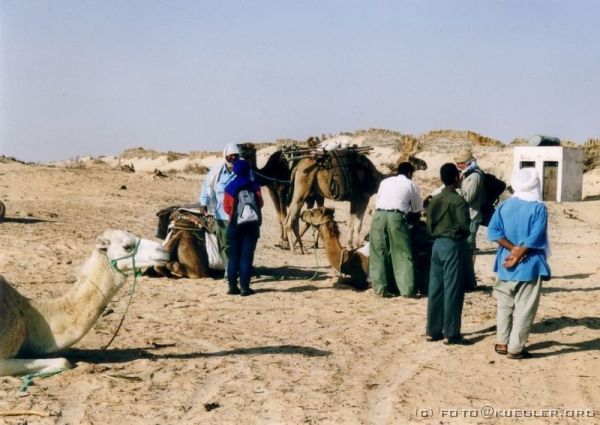 image-110 <p><b>Sahara</b></p>
<br>
<div align=left>
<p><b>24. September 2003: Sahara</b></p>
<p>Für uns heißt es heute: Ab auf die Kamele! Für die halbstündige Fahrt steht uns plötzlich ein zweiter Jeep zur Verfügung, der nach Robins Telefonat gestern mit Wikinger organisiert wurde. An dem Treffpunkt warten auf uns schon fünf Berber mit ihren insgesamt zwölf Kamelen, die eigentlich ja Dromedare sind, auf die wir jetzt verteilt wurden. Dann ging es erst hinten hoch, dann vorne, hinten und wieder vorne. Geschafft, keiner ist beim Aufstehen der Kamele runter gefallen. An das gemütliche Schaukeln haben wir uns schnell gewöhnt, die Aussicht von hier oben ist beeindruckend.</p>
<p>Unser Kamelführer hieß Abdul und fragte in regelmäßigen Abständen "Ça va?"</p>
</div>