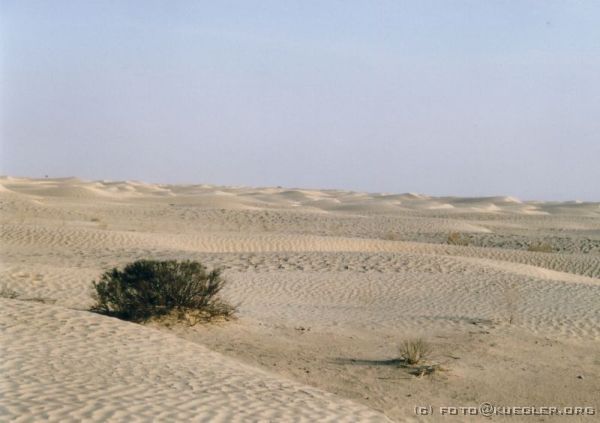 image-115 <p><b>Sahara</b></p>