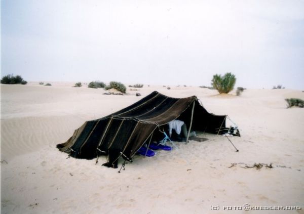 image-126 <p><b>Sahara</b></p>
<br>
<div align=left>
<p>Nach weiteren zwei Stunden halten die Berber Ausschau nach einem geeigneten Platz für unser Nachtlager. Hier angekommen wurden zuerst die Kamele von ihren Lasten befreit. Die Beine wurden locker zusammengebunden; die Kamele sollen sich frei bewegen und fressen können, sie sollen aber nicht rennen. Wir haben geholfen, Feuerholz zu sammeln, denn für den ganzen Abend wird wesentlich mehr gebraucht, als mittags nur zum Brotbacken. Zwei Berber haben unser Zelt aufgebaut, während die anderen schon angefangen haben, das Abendessen vorzubereiten. Das sah schon von weitem vielversprechend aus.</p>
</div>