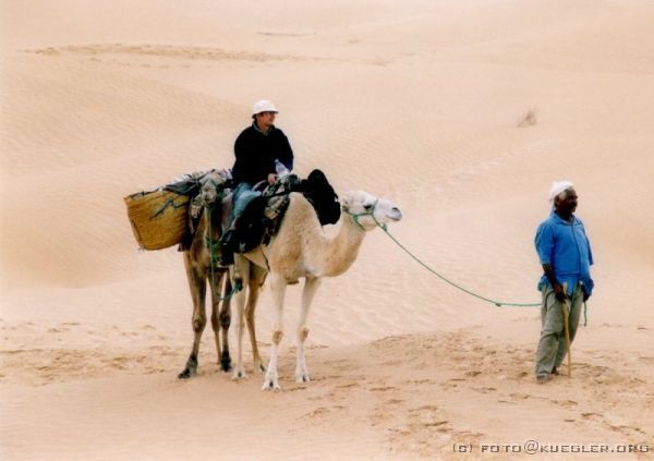 image-139 <p><b>Sahara</b></p>
<br>
<div align=left>
<p><b>25. September 2003: Sahara, Douz</b></p>
<p>Am nächsten Morgen sind wir früh mit Aufgehen der Sonne wach geworden und aufgestanden. Waschen oder mehr fällt natürlich aus, nur Zähneputzen mit einem Schluck Mineralwasser muß schon sein. Weil es immer noch oder schon wieder nieselt, frühstücken wir im Zelt auf einer Decke. Es gibt frisch gebackenes Brot, Schmelzkäse und Feigenmarmelade. Dazu den wohl leckersten Kaffee aus der pechschwarzen, verbeulten Kanne, die direkt aus der Glut kommt, und Thé Menthe.</p>
<p>Zum Aufbruch werden die Kamele eingesammelt, alles zusammengepackt, und wieder auf die Sättel verteilt. Nach dem Regen ist es am Morgen noch relativ frisch, so daß sich mehr als gestern zum Laufen statt Reiten entscheiden. Der Weg führt uns durch immer höhere Dünen, bei denen die Kamele schon richtig klettern müssen.</p>
</div>