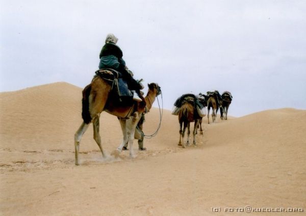 image-140 <p><b>Sahara</b></p>