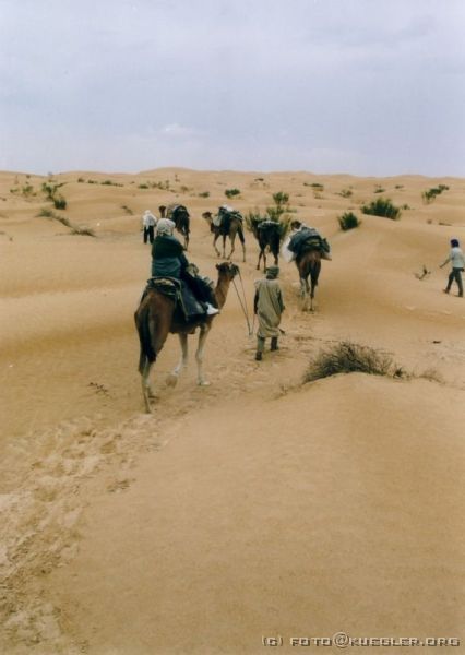 image-141 <p><b>Sahara</b></p>