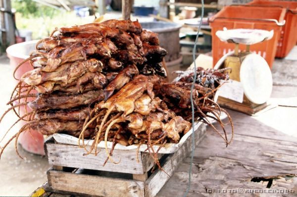 image-114 <p><b>Irgendwo am Straßenrand auf dem Weg nach Ayutthaya</b></p>
<br>
<div align=left>
<p><b>16. Oktober: Ayutthaya, Khao Yai Nationalpark</b></p>

<p>6:00 Uhr morgens, und diesmal ist es leider kein Elefant, der uns weckt, sondern ein Klopfen. Wir müssen früh raus, weil wir eine weite Strecke vor uns haben. Ohne Frühstück und ohne Kaffee geht es in die Boote, die uns wieder zum Anleger bringen, wo Mr. Eak mit dem Bus und unserem restlichem Gepäck wartet.</p>

<p>Zwischendurch halten wir an einem Stand am Straßen­rand. Hier werden typische Landesspezialitäten verkauft:  Ratten. Soll wie Hühnchen schmecken, aber warum Ratte essen, wenn es auf dieser Welt noch Hühnchen gibt?!</p>
</div>