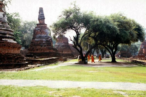 image-125 <p><b>Ayutthaya</b></p>
<br>
<div align=left>
<p>Jetzt liegen noch mal etwa zwei Stunden Fahrt weit in den Osten vor uns bis zum Khao Yai Nationalpark. Unser Hotel für die nächsten zwei Nächte liegt am Rande des Nationalparks. Nach der letzten Unterbringung hat es nun jedes Hotel verständlicherweise schwer mitzuhalten. Die Zimmer sind sehr einfach, die Betten knüppelhart, und das ist nicht übertrieben!</p>

<p>Die verbleibende Zeit bis zum Abendessen müssen wir leider zum Wäschewaschen nutzen, wobei uns auch noch die Sicherung rausknallt und wir im Nassen und Dunkeln stehen.</p>

<p>Das Essen ist hier auch sehr gut, aber es gibt offensichtlich nur eine Kochplatte, denn wir bekommen schön Einer nach dem Anderen!</p>
</div>