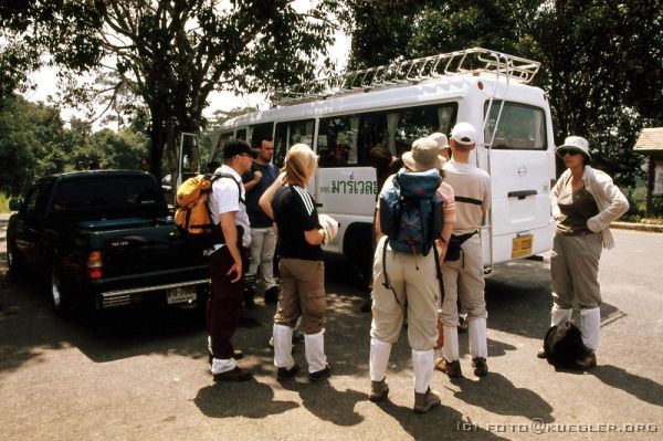 image-126 <p><b>Khao Yai Nationalpark</b></p>
<br>
<div align=left>
<p><b>17. Oktober: Khao Yai Nationalpark</b></p>

<p>Trotz dem Gefühl direkt auf Holz zu liegen kommt Kathrin erstaunlich erholt aus den Federn, Stefan nicht so. Dafür ist das Frühstück hier sehr lecker, man kann eben nicht alles haben.</p>

<p>Mit unserem Bus fahren wir in den Nationalpark, und Mr. Eak hat arge Probleme, den Minibus die steilen Berge hochzuprügeln. Immerhin müssen wir auf knapp 1300m rauf.</p>

<p>Ein Guide vom Park führt uns etwa zwei Stunden durch den Urwald. Dieses Gebiet wurde schon in den 60er Jahren zum Nationalpark erklärt, also vor dem großen Abholzen und hat somit sogar noch Primärurwald. Das ist für uns Stadtmenschen schon ein anderes Bild vom Wald: Teak, Würgefeigen, Riesenfarne, Banyanbäume und ein Konzert von Grillen, Vögeln, Affen und ich will lieber nicht wissen was noch...</p>
</div>