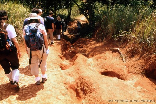 image-128 <p><b>Khao Yai Nationalpark</b></p>