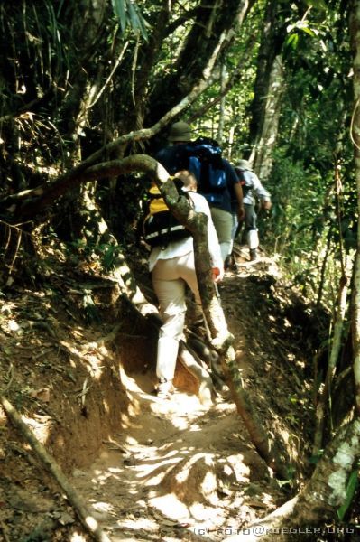 image-132 <p><b>Khao Yai Nationalpark</b></p>
<br>
<div align=left>
<p>Wir fahren ein kurzes Stück mit dem Bus, laden den Guide wieder ab und stoppen einige Kilometer vor dem großen Haew-Suwat Wasserfall. Wer will, kann bis dort noch eine gute Stunde am Flusslauf entlang wandern. Zusammen mit Heiko, Thomas, Ludwig und Franziska sind wir dieses zweite Stück also noch gelaufen, und es war ganz anders fast schöner als das erste Stück.</p>
</div>