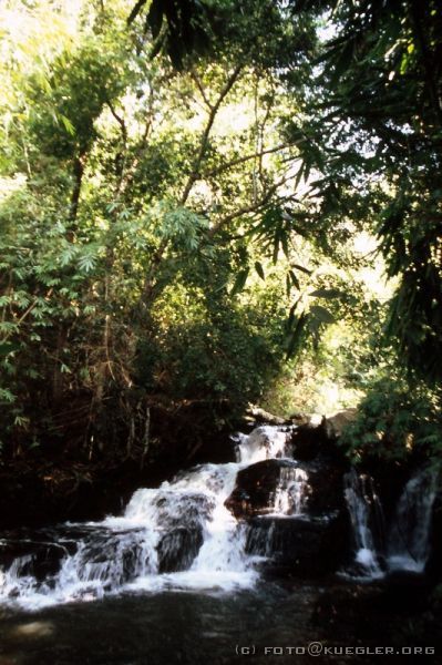 image-252 <p><b>Treckingtour</b></p>
<br>
<div align=left>
<p>Wir laufen noch mal knapp zwei Stunden bis zum heutigen Wasserfall. Leider liegt der schon vollkommen im Schatten, und es wird recht frisch. Aber da es keine gewohnte morgendliche Dusche gibt, muss man da eben durch!</p>
</div>