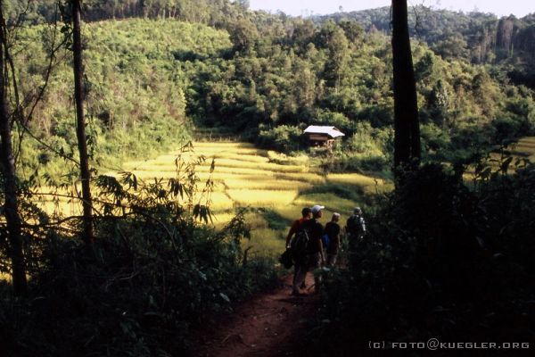 image-254 <p><b>Treckingtour</b></p>
<br>
<div align=left>
<p>Kurz nach dem Wasserfall kommen wir aus dem Wald und vor uns liegen schon die ersten Reisfelder, wir müssen schon nah am Dorf sein.</p>
</div>