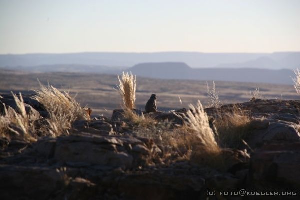 IMG_3569 <P><B>Fish River Canyon</B></P>