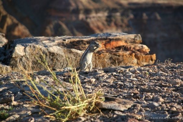 IMG_3574 <P><B>Fish River Canyon</B></P>