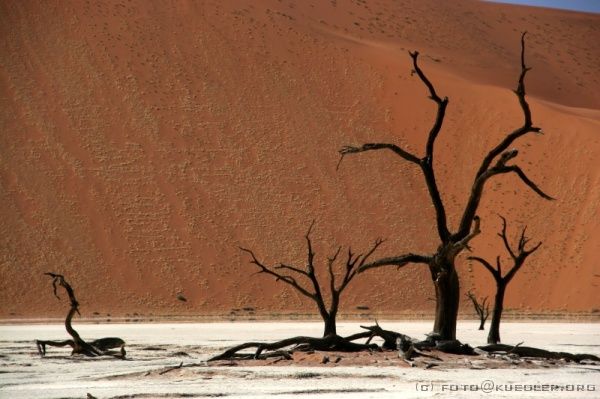 IMG_3748 <P><B>Deadvlei</B></P>