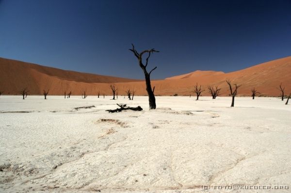 IMG_3766 <P><B>Deadvlei</B></P>