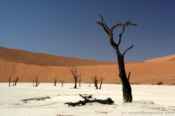 IMG_3769 <P><B>Deadvlei</B></P>