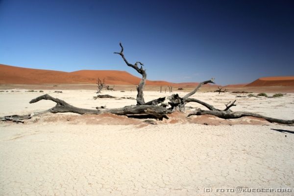 IMG_3785 <P><B>Deadvlei</B></P>