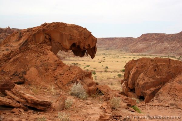 IMG_4215 <P><B>Twyfelfontein</B></P>

<div align=left>
<P><B>26. Oktober: Twyfelfontein und Weiterfahrt nach Sesfontein.</B></P>

<P>Alois, einem Mitreisenden aus unserer Gruppe geht es schlecht. Er vscheint sich eine richtige Infektion eingefangen zu haben. Um 6:00 Uhr stehen spätestens alle auf. Die Zelte sind mit unserer Übung
inzwischen recht schnell abgebaut und samt Gepäck im Truck verstaut.</P>

<P>Nach dem Frühstück fahren wir zuerst zu den Felsgravuren in Twyfelfontein. Diese Gravuren sind zwischen 200 und 2000 Jahre alt. Den Namen "Twyfelfontein" hat die Quelle aus der Zeit
der Besiedlung durch Weiße im Jahr 1947. Die Quelle erwies sich als nicht zuverlässig und so nannten die Siedler sie "Zweifelhafte Quelle - Twyfelfontein".</P>
</div>