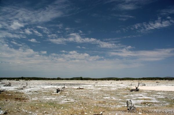 IMG_4792 <P><B>Etosha Nationalpark</B></P>

<div align=left>
<P><B>31. Oktober: Etosha Nationalpark.</B></P>

<P>Um 5:45 Uhr weckt uns das Handy und wir packen unsere Sachen wieder einmal zusammen, bauen unsere Zelte ab und brechen nach dem Frühstück pünktlich um 7:00 Uhr auf.</P>

<P>Bis zum Etosha Nationalpark haben wir heute keine wirklich lange Fahrt vor uns. Die Straßen sind geteert und wir kommen sehr gut vorwärts. In Outjo machen wir einen Einkaufstop, hauptsächlich für Eddie, der seine Vorräte auffüllen muss. Wir setzen uns mit einigen Mitreisenden zusammen in ein Café. Wir haben jetzt noch ungefähr 100 km vor uns und freuen uns sehr auf den Etosha Park und die Tiere.</P>
</div>