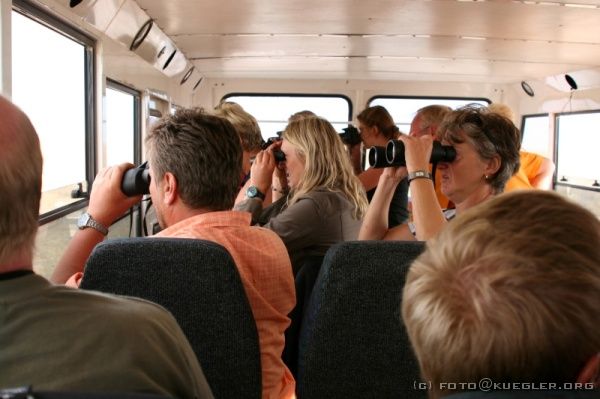 IMG_4920 <P><B>Etosha Nationalpark</B></P>
<P>...irgendwo müssen sie doch sein...</P>