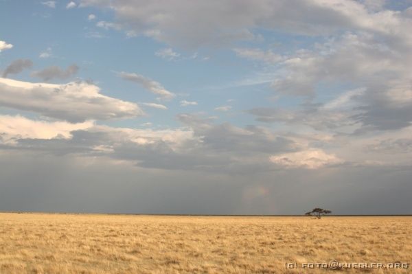 IMG_4931 <P><B>Etosha Nationalpark</B></P>