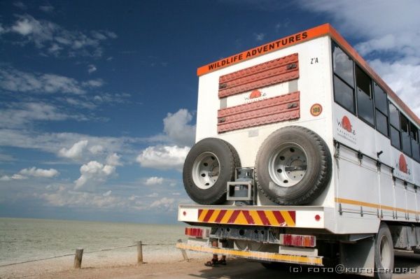 IMG_5034 <P><B>Etosha Nationalpark</B></P>