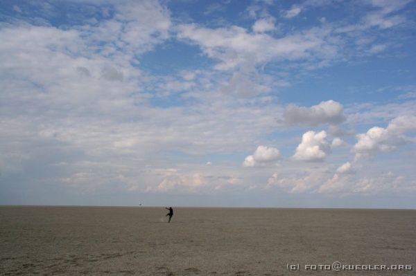 IMG_5042 <P><B>Etosha Nationalpark</B></P>