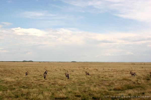 IMG_5043 <P><B>Etosha Nationalpark</B></P>
