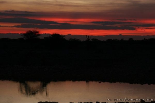 IMG_5061 <P><B>Etosha Nationalpark</B></P>