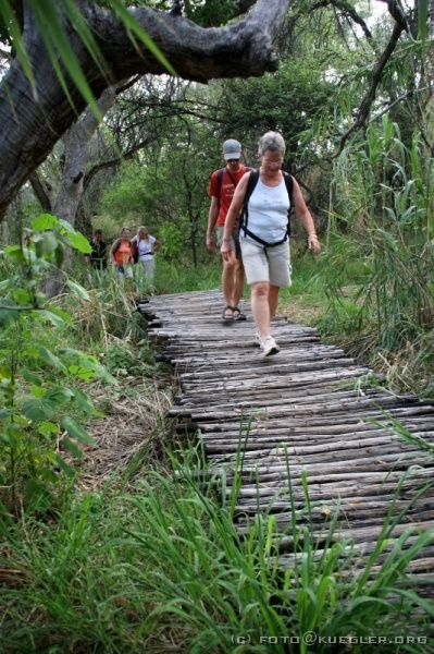 IMG_5085 <P><B>Waterberg</B></P>