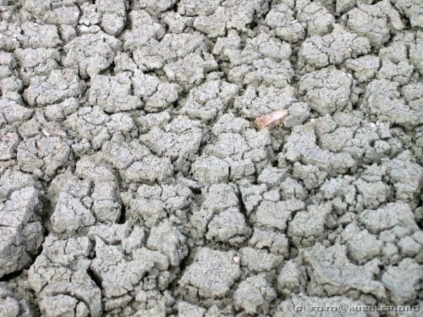 IMG_6995 <P><B>Etosha Nationalpark</B></P>