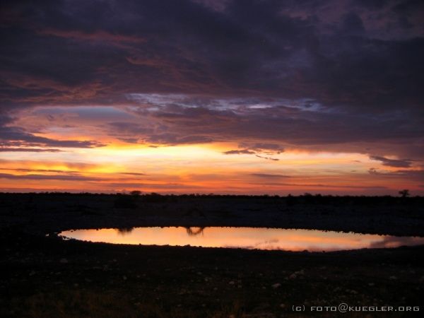 IMG_7004 <P><B>Etosha Nationalpark</B></P>

<div align=left>


<P>An diesem Abend gehen wir in dem Restaurant essen. Es gibt hier nur ein Buffet, das leider schon relativ abgeräumt ist, aber es schmeckt nicht schlecht. Anschließend sitzen wir noch einige Zeit am Wasserloch und können eine Hyäne beobachten, auch vergleichsweise selten laut Konrad. Aber leider wieder kein Löwe...</P>
</div>