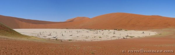 deadvlei <P><B>Deadvlei</B></P>